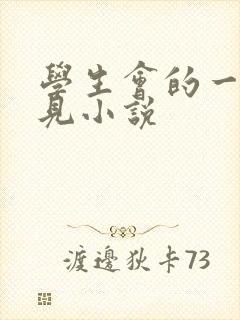 学生会的一己之见小说