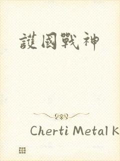 护国战神