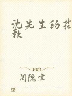 沈先生的花式管教