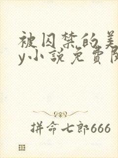 被囚禁的美人by小说免费阅读