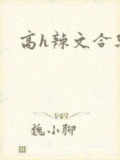 高h辣文合集