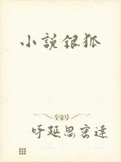 小说银狐