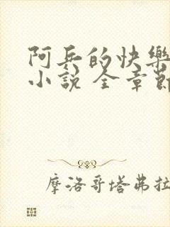 阿兵的快乐生活小说 全章节阅读免费