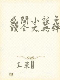 盛开小说免费阅读全文无弹窗