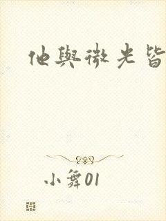 他与微光皆倾城