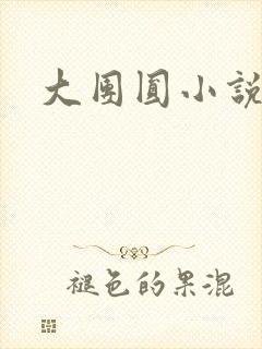 大团圆小说