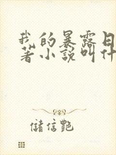 我的暴露日记原著小说叫什么