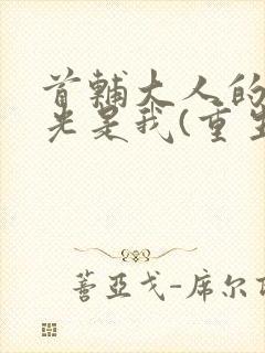 首辅大人的白月光是我(重生)