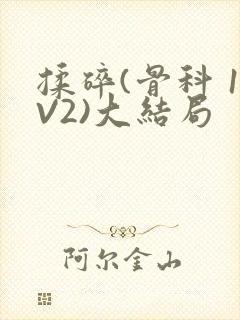 揉碎(骨科 1V2)大结局