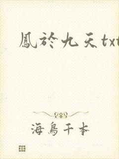 凤于九天txt