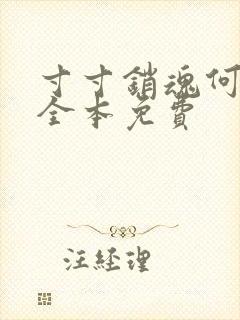 寸寸销魂何生祥全本免费