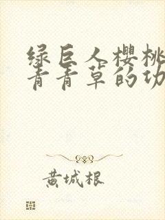 绿巨人樱桃荔枝青青草的功效