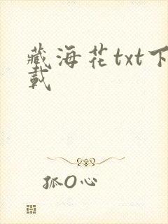 藏海花txt下载