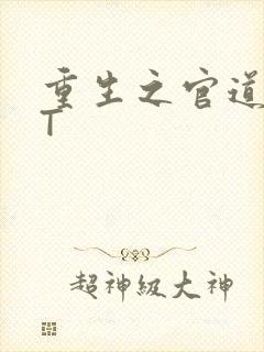 重生之官道TXT