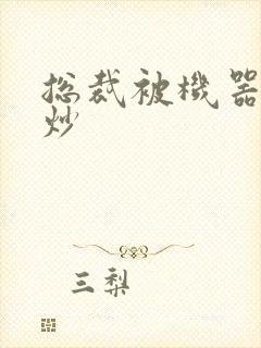 总裁被机器人爆炒封面