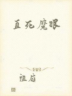 《直死魔眼》小说封面