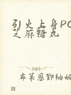 引火上身POP芝麻糖丸