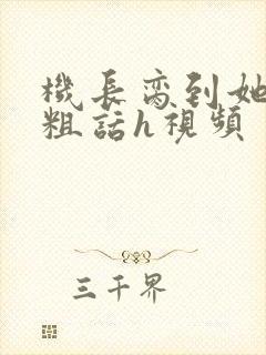 机长脔到她哭h粗话h视频