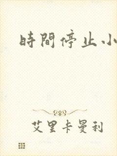 时间停止小说