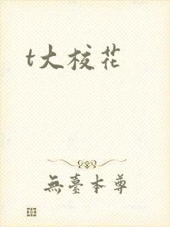 t大校花