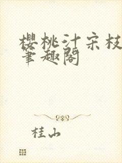 樱桃汁宋枝江野笔趣阁