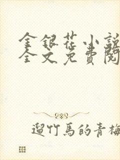 金银花小说在线全文免费阅读