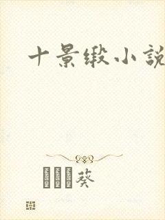 十景缎小说