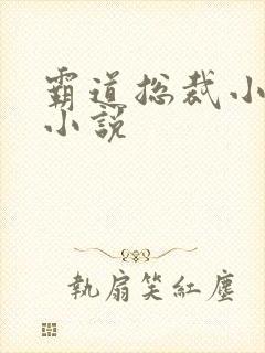 霸道总裁小娇妻小说