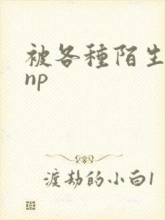 被各种陌生人 np