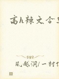 高h辣文合集
