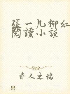 张一凡柳红免费阅读小说