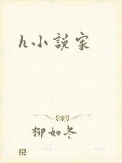 h小说家