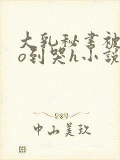 大乳秘书被cao到哭h小说