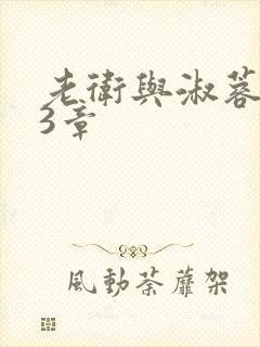 老卫与淑蓉第13章封面