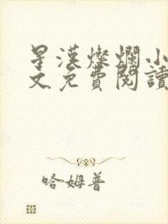 星汉灿烂小说全文免费阅读