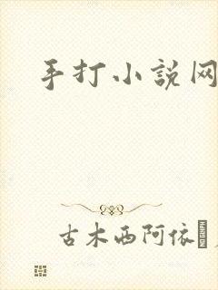 手打小说网
