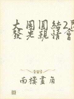 大团圆结2闪闪发光亲情会