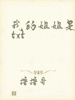 我的姐姐是美女txt