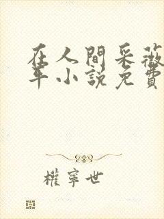 在人间采薇陆三平小说免费阅读