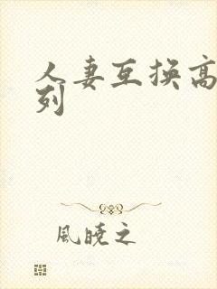 人妻互换高h系列