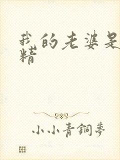 我的老婆是狐狸精