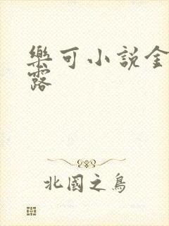 乐可小说金银花露封面