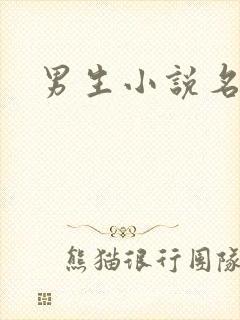 男生小说名字