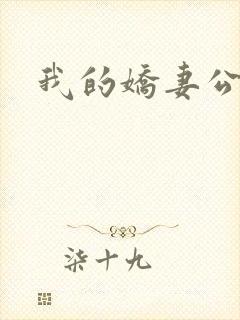 我的娇妻公务员