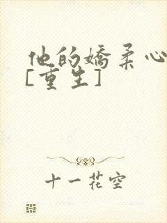 他的娇柔心尖宠[重生]