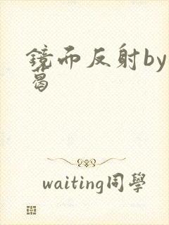 镜面反射by九葛