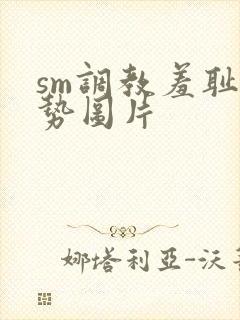 sm调教羞耻姿势图片