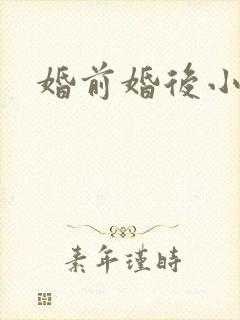 婚前婚后小说