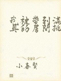 我被带到满是玩具的房间挑调作文