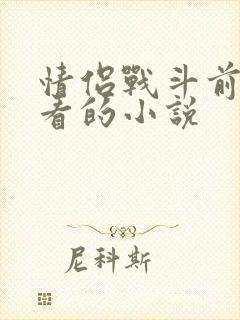 情侣战斗前适合看的小说